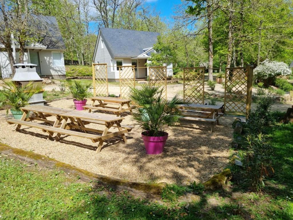 Les Chalets De Saumur, Piscine & Parc Boise, 100M Du Cadrenoir Extérieur photo