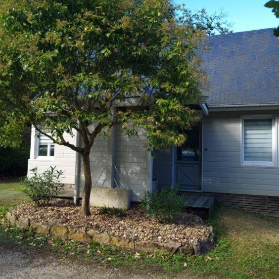 Les Chalets De Saumur, Piscine & Parc Boise, 100M Du Cadrenoir Extérieur photo